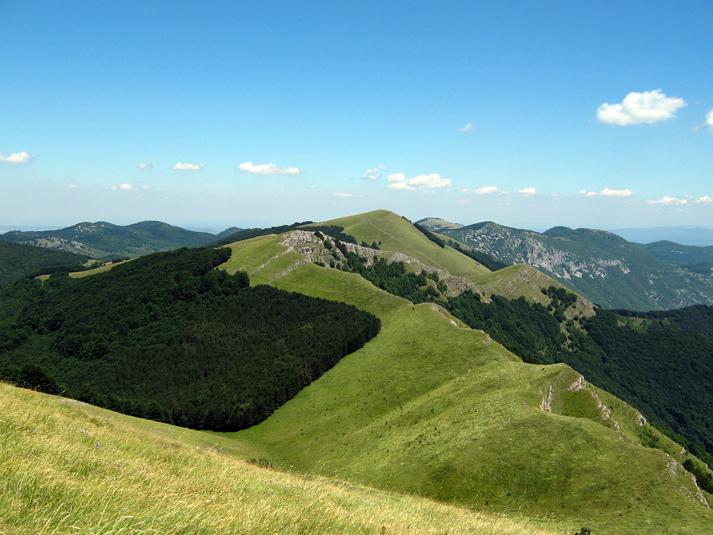 ABOUT THE NATURE PARK 