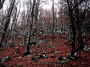 Есенен излет в планината