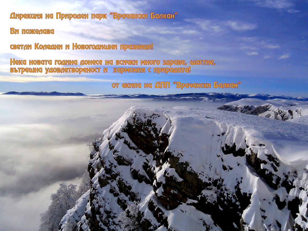 Весели празници 