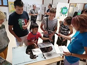 Лешоядите са "прахосмукачките" в природата