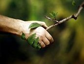 Стартира конкурс за лого на Седмица на гората
