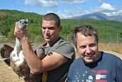 Нов гост