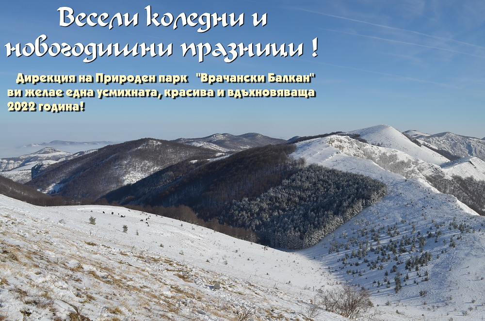 Весели коледни и новогодишни празници!
