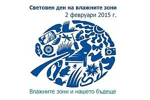 ДПП 