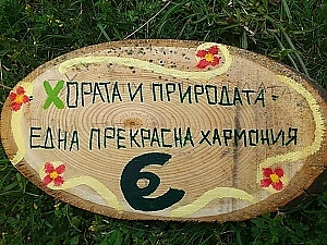 ДПП „Врачански Балкан“ организира облагородяване на къмпинг „Кариерата“