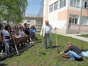 Ученици засадиха 20 дръвчета в двора на ПМГ