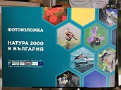 Изложба "Натура 2000 в България" в Природозащитен център "Натура"