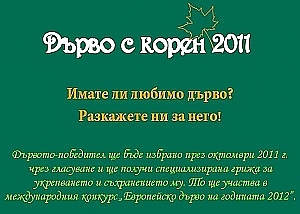 Конкурс "Дърво с корен 2011" 