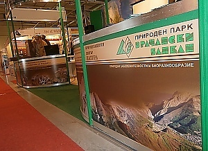 Успешно представяне на Ваканция Спа Експо 2013
