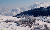 Местност Избата